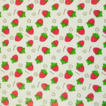 Regenjackenstoff Erdbeeren